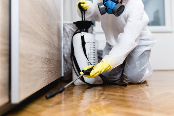 Best Local Pest Control Services  in Frankfort, KY