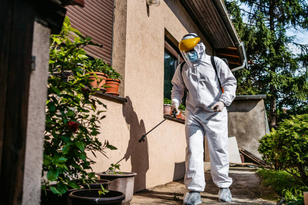 Best Best Pest Control Companies  in Frankfort, KY