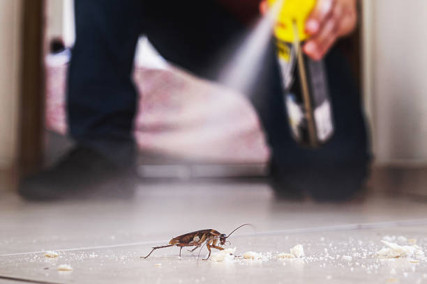 Best Best Pest Control Companies  in Frankfort, KY