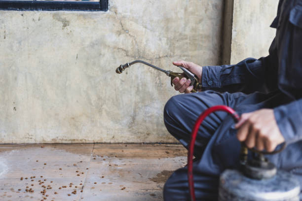 Best Wasp Removal Services  in Frankfort, KY